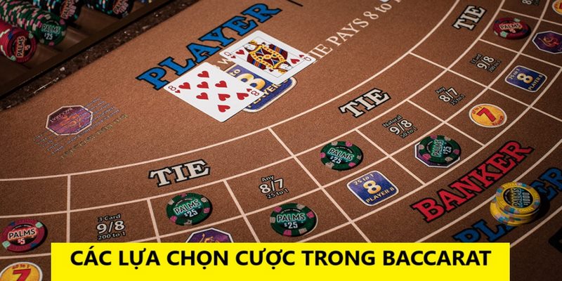 Các lựa chọn cược phổ biến trong game bài Baccarat