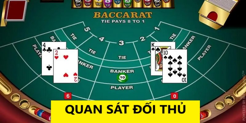 Quan sát đối thủ là chiến thuật hay trong cách chơi Baccarat